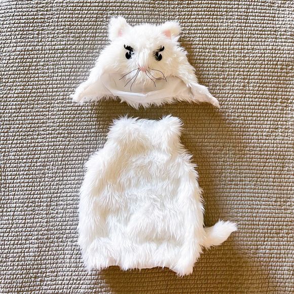 Pottery Barn Costumes Pottery Barn Kids Halloween White Cat Fur